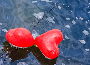 heart